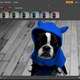 Image for article titled Photoshop Express Gets Flickr Support